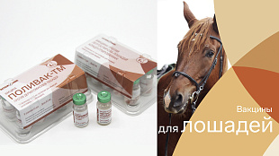 Лептоспироз вакцина лошадей 2мл-1доза